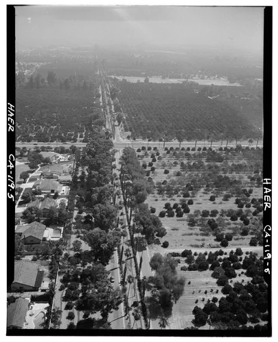  AERIAL VIEW OF VICTORIA AVENUE, SUBURBAN DEVELOPMENT AND ORANGE GROVES - Arlington Heights Citrus Landscape, Southwestern portion of city of Riverside, Riverside, Riverside County, CA