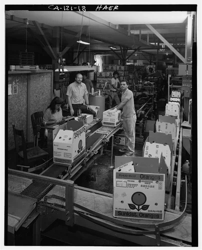  INTERIOR VIEW SHOWING BOX WEIGHING STATION - National Orange Company Packing House, 3604 Commerce Street, Riverside, Riverside County, CA
