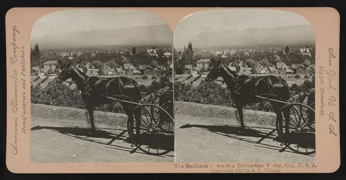 The Redlands of the San Bernardino Valley, Cal., U.S.A.