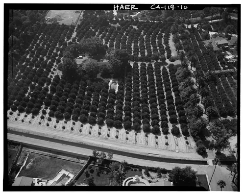  AERIAL VIEW OF ORANGE GROVES, GAGE IRRIGATION CANAL AND HOUSING - Arlington Heights Citrus Landscape, Southwestern portion of city of Riverside, Riverside, Riverside County, CA