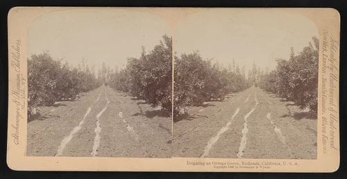 Redlands