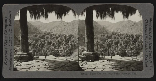Palm Canyon, near Palm Springs, Calif.