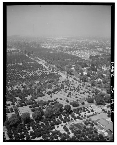  AERIAL VIEW OF ORANGE GROVES AND VICTORIA AVENUE - Arlington Heights Citrus Landscape, Southwestern portion of city of Riverside, Riverside, Riverside County, CA