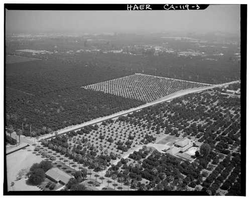  AERIAL VIEW OF ORANGE GROVES AND GAGE IRRIGATION CANAL - Arlington Heights Citrus Landscape, Southwestern portion of city of Riverside, Riverside, Riverside County, CA