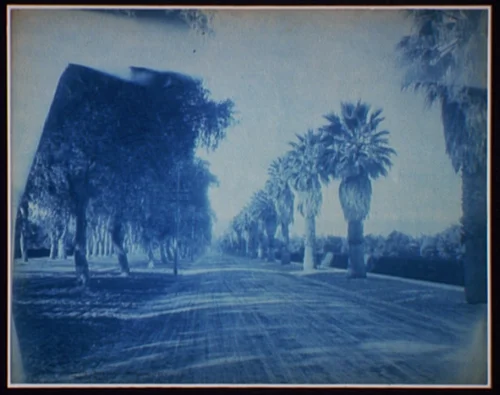 Riverside, Magnolia Avenue, 1899