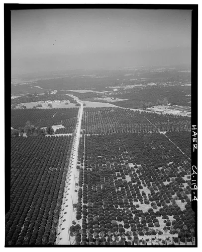 AERIAL VIEW OF ORANGE GROVES AND GAGE IRRIGATION CANAL (IN CENTER DISTANCE) - Arlington Heights Citrus Landscape, Southwestern portion of city of Riverside, Riverside, Riverside County, CA