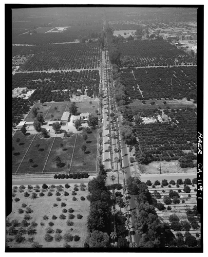  AERIAL VIEW OF VICTORIA AVENUE AND ORANGE GROVES - Arlington Heights Citrus Landscape, Southwestern portion of city of Riverside, Riverside, Riverside County, CA
