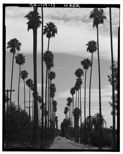  VIEW OF VICTORIA AVENUE WITH PALM TREES - Arlington Heights Citrus Landscape, Southwestern portion of city of Riverside, Riverside, Riverside County, CA