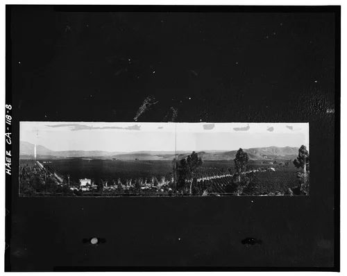  Photocopy of photograph (original print at Riverside Municipal Museum, Historical Resources Department), photographer unknown, ca. 1916. VIEW OF VICTORIA AVENUE FROM COUNTRY CLUB PARK - California Citrus Heritage Recording Project, Riverside, Riverside County, CA