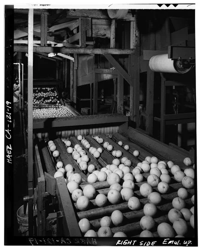  INTERIOR VIEW OF SORTING LINE WITH WASH BASIN IN REAR - National Orange Company Packing House, 3604 Commerce Street, Riverside, Riverside County, CA