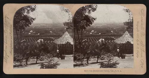 San Bernadino Valley, Cal., U.S.A.
