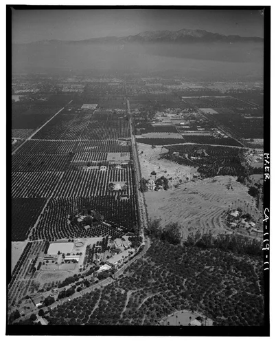  AERIAL VIEW OF ORANGE GROVES - Arlington Heights Citrus Landscape, Southwestern portion of city of Riverside, Riverside, Riverside County, CA