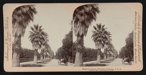 Magnolia Avenue, Riverside, California, U.S.A.