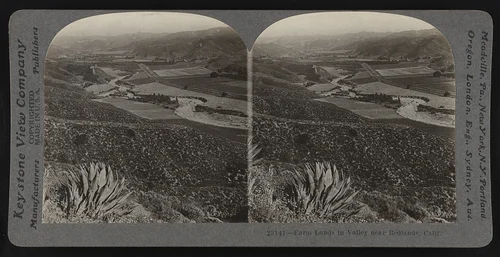 Farm lands in valley near Redlands, Calif.
