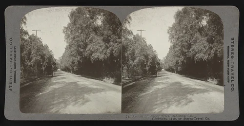 Avenue of pepper trees, Redlands, Cal.