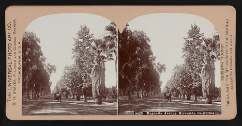 Magnolia Avenue, Riverside, California