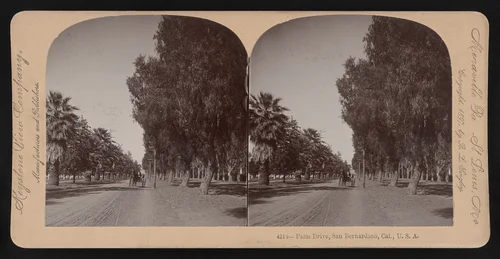 Palm Drive, San Bernadino Valley, Cal., U.S.A.