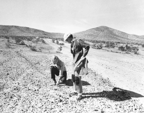 Damage done to the desert pavement, Mojave Desert