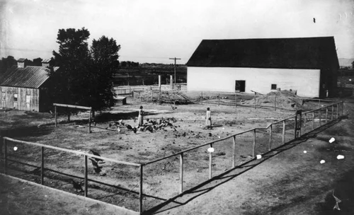 Grand Junction Indian School chicken farm