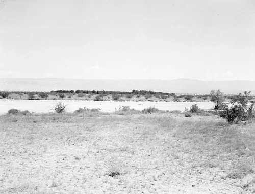 Hemet oasis
