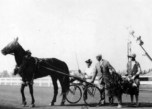 Horse race driver