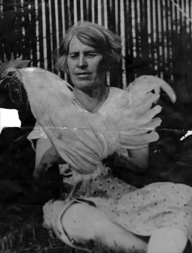 Louise Northcott