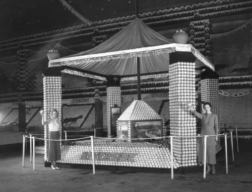 National Orange Show
