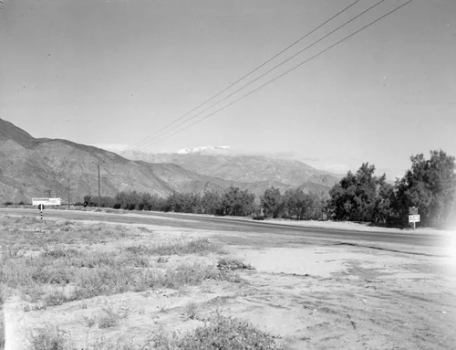 Orange groves in Hemet
