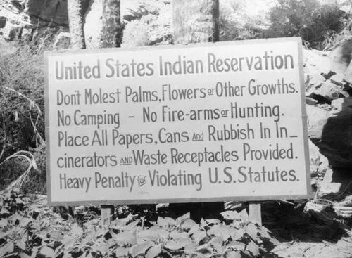 Palm Canyon sign