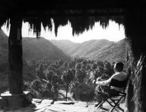 Palm Canyon