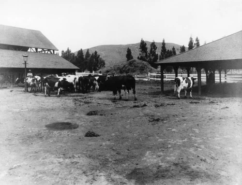Sherman Indian High School dairy barnyard
