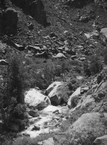 Tahquitz Canyon