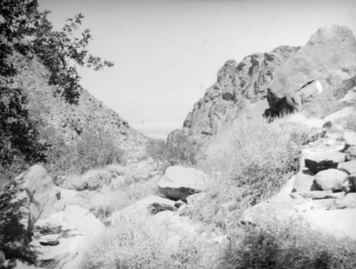 Tahquitz Canyon