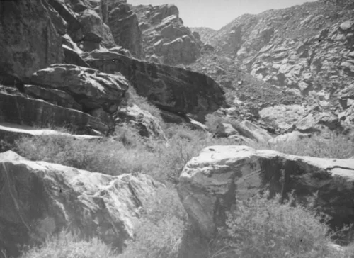 Tahquitz Canyon