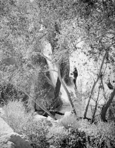 Tahquitz Falls