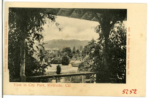 View in City Park