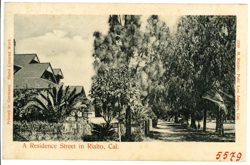 A Residence Street in Rialto Cal.