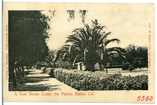 A Tent Home Under the Palms Rialto Cal.