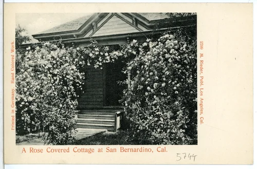 A Rose Covered Cottage at San Bernardino, Cal.