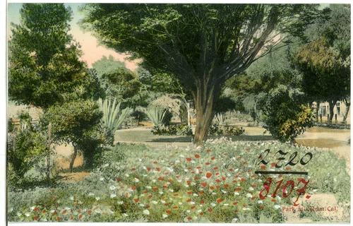 Park