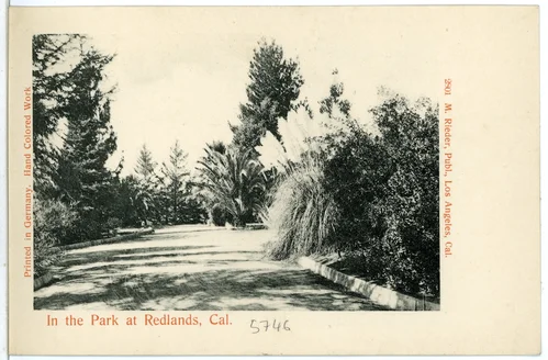 In the Park at Redlands