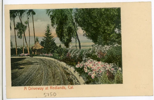 A Driveway