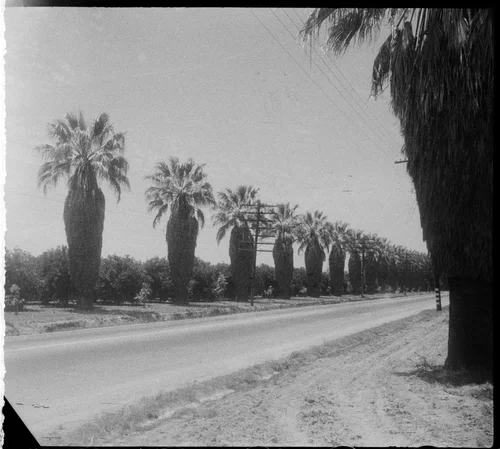 Eighth Street and Weber grove, Riverside, California