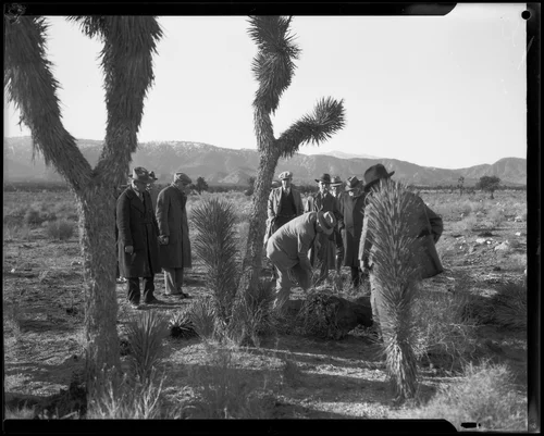 Men investigate search areas in the Mojave Desert for murder victim remains during the Gordon Stewart Northcott case, Riverside County, 1928-1930
