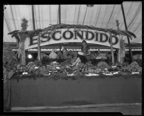 Escondido Chamber of Commerce exhibit at the Southern California Fair, Riverside, 1926