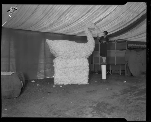 Woman working on, or posing with, Coachella County exhibit at the Southern California Fair, Riverside, 1926