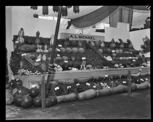 Vegetable exhibit at the Southern California Fair, Riverside, 1929