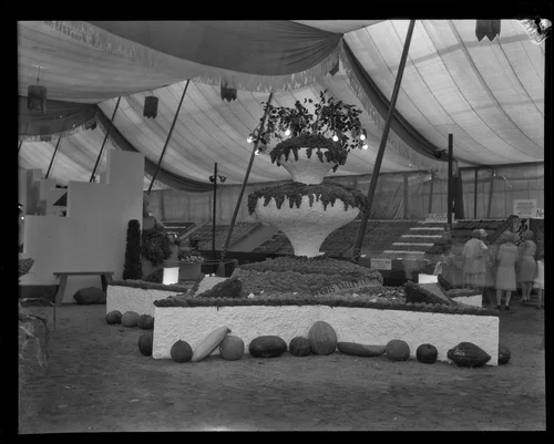 Grape exhibit at the Southern California Fair, Riverside, 1929