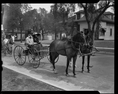 Man and woman in horse-drawn buggy, Old Timers Parade, Riverside, [1933?]