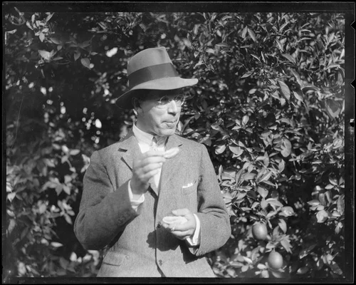 Crown Prince Gustav Adolf of Sweden tries an orange at an orchard, Riverside, 1926